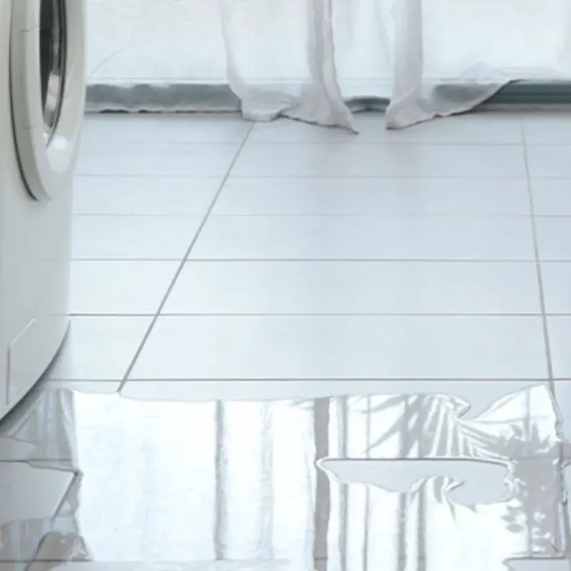 Appliance Leak Cleanup in Butler County, NE