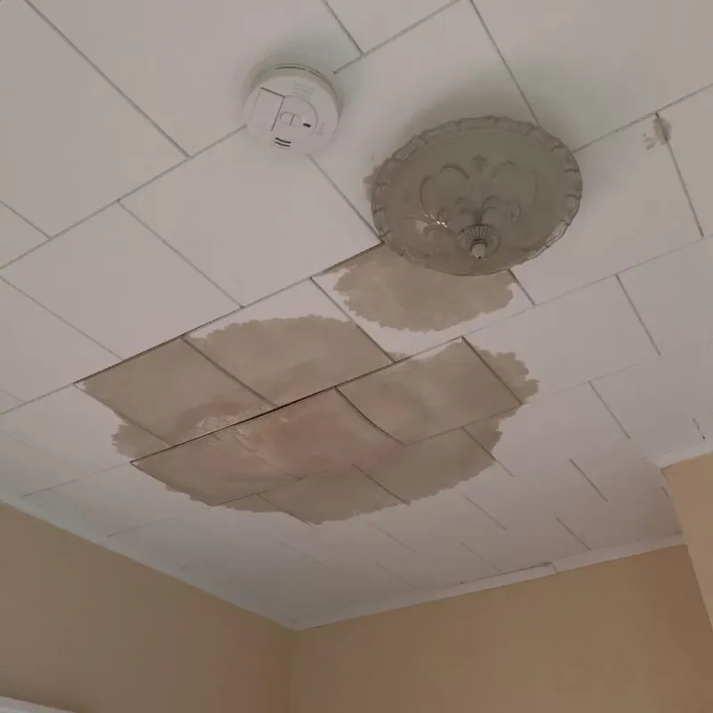 Ceiling Water Damage Repair in Butler County, NE